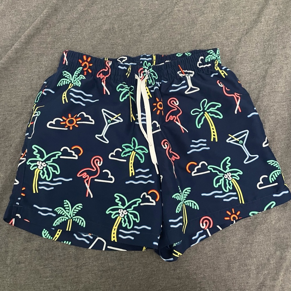 Chubbies swim shorts men